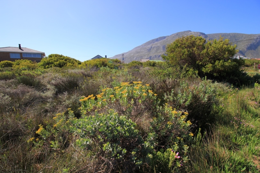 0 Bedroom Property for Sale in Bettys Bay Western Cape